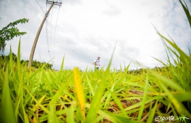 Treino para Maratona do ES - Pedágio x Libanês